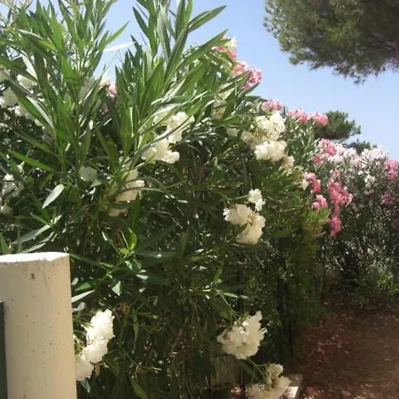 Holiday home Sant Ambroggio 30 Metres De La Vue *