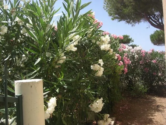 Holiday home Sant Ambroggio 30 Metres De La Vue *