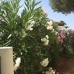 度假居 Sant Ambroggio 30 Metres De La Vue *